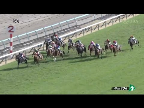 2023.03.11 穴馬大好き！1200mは荒れるでしょ！！9番人気の馬から勝負！