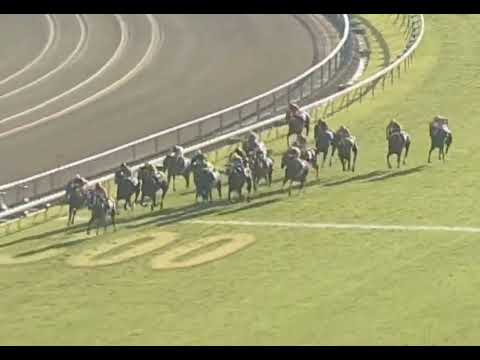 ラインクラフト 2005年 第10回秋華賞(GI) (優勝馬：エアメサイア) (実況：ラジオNIKKEI)