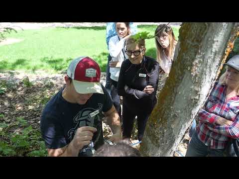 Maple Syrup Research: Jesse Mathews