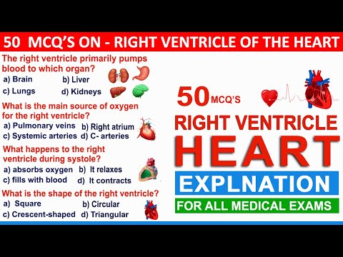 Right Ventricle of the Heart mcqs | heart anatomy quiz | cardiovascular system mcqs | mcqs of heart