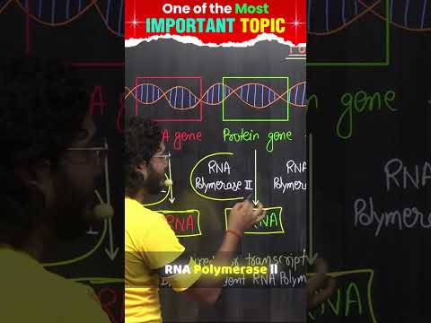 RNA POLYMERASE ENZYME #biologywings