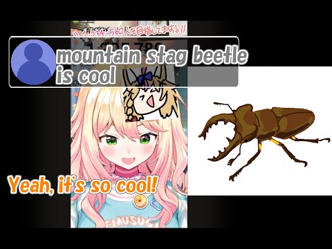 [Hololive] Nene talked about Stag beetles.[Eng sub]