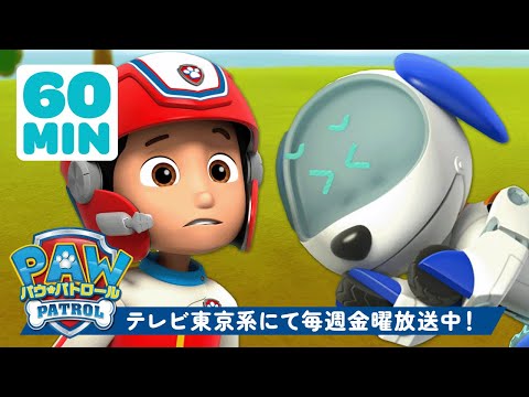 パウ・パトロール | ロボドッグ、アレックスやケントと大活躍！ | 1時間 | テレビ東京系にて放送中