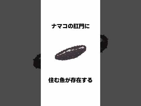 誰かに話したくなる面白い雑学 続きは本編で #Shorts #雑学 #豆知識