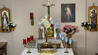 LIVE Eucharistic Adoration - Sisters of Divine Mercy