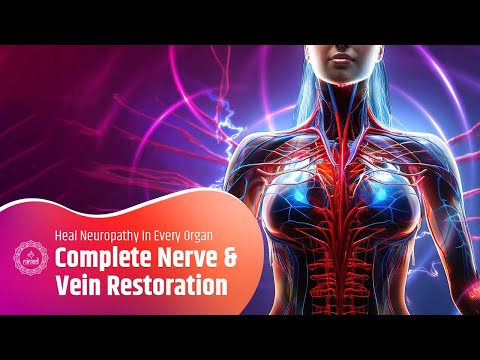 Complete Nerve and Vein Restoration | Reclaim Blood Flow & Heal Neuropathy in Every Muscle & Organ