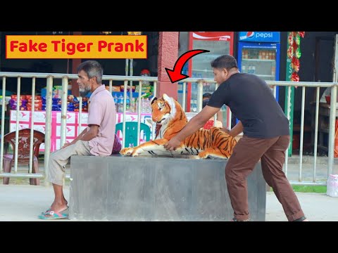 Fake Tiger Prank | Fake Tiger vs Man Prank on Public (Part 19) | 4 Minute Fun