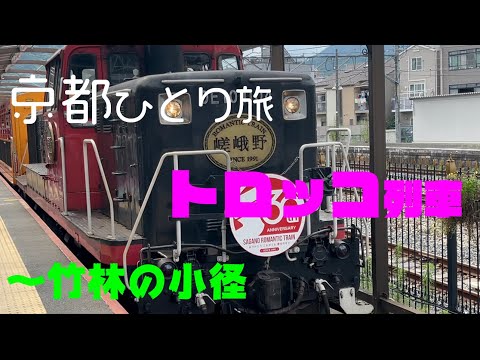 京都vlog【天龍寺→トロッコ列車→大河内山荘庭園→竹林の小径】