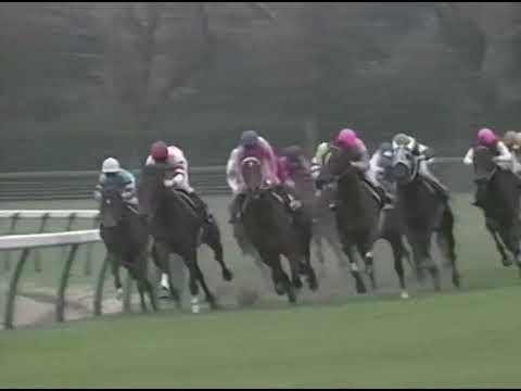 ヤマニンゼファー 1992年 第26回スプリンターズステークス(GI) (優勝馬：ニシノフラワー) (実況：ラジオたんぱ)