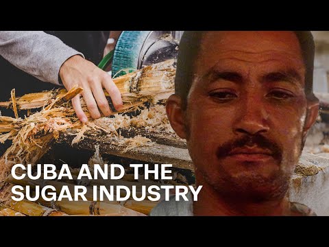 Sugar And The Cuban Economy: 25 Years Of Revolution | Our History