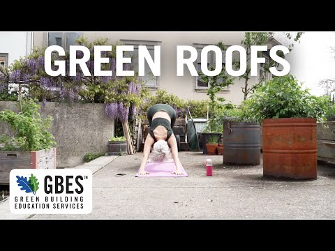 What are Green Roofs? - Continuing Education Clips