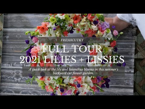 FULL TOUR: 2021 LILIES AND LISIANTHUS - Backyard Cut Flower Garden Update