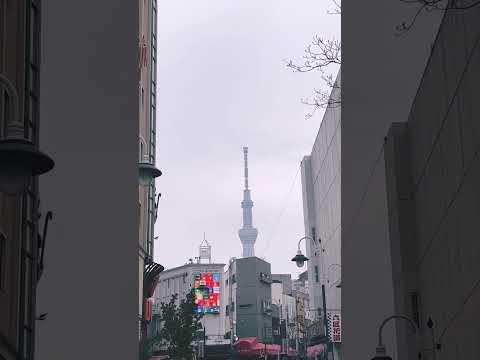 Tokyo skytree #video#sightseeing#skytree#tokyo#sightseeing#peace#phtotography#japan#japantravel#