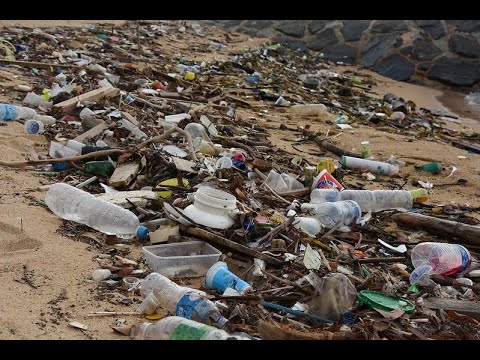 The UN Global Plastics Treaty: Why Is It Needed?