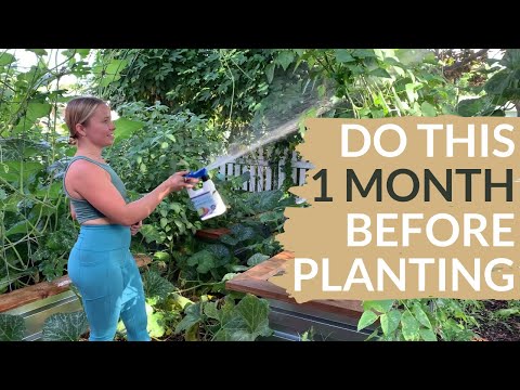 5 Steps To Kickstart Your Garden for MORE Production