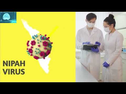 Nipah Virus Infection: Transmission, Risks, Cures Explained!  | new virus out in 2024? |