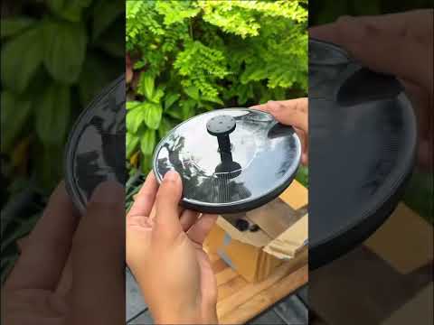 Solar water fountain for mini pond #ytshorts #waterfountain