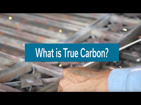 What is True Carbon - Sustainability Snippets