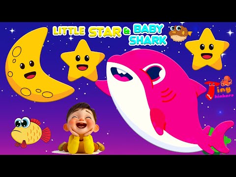 Baby Shark Doo Doo Doo & Twinkle Twinkle Little Star | Fun Nursery Rhymes for Kids