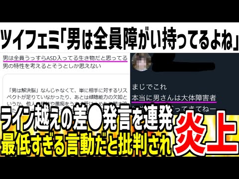 【3万いいね】ツイフェミさんが男に対し差●発言を連発し大炎上！ライン越えの言動にドン引きする人多数な模様...【ゆっくり解説】