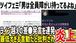 【3万いいね】ツイフェミさんが男に対し差●発言を連発し大炎上！ライン越えの言動にドン引きする人多数な模様...【ゆっくり解説】