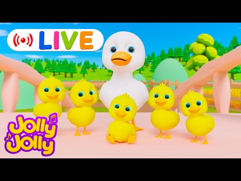 LIVE🔴Five little ducks, The animals on the farm + More | Jolly Jolly &  Numbers - Best Kids Songs!