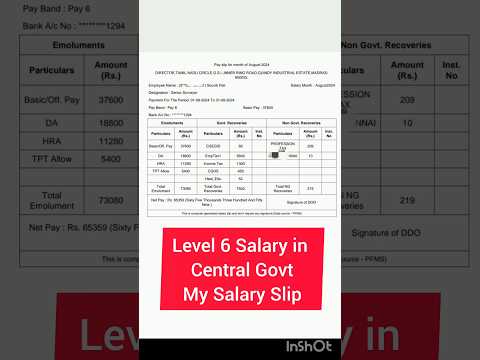 Level 6 Salary in Central Govt!My Salary Slip#govtofindia#salaryslip#shorts