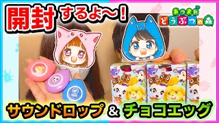 【実写】神引き！あつ森チョコエッグ＆サウンドロップ開封！【チョコエッグ/サウンドロップ】【あつまれどうぶつの森/AnimalCrossing】