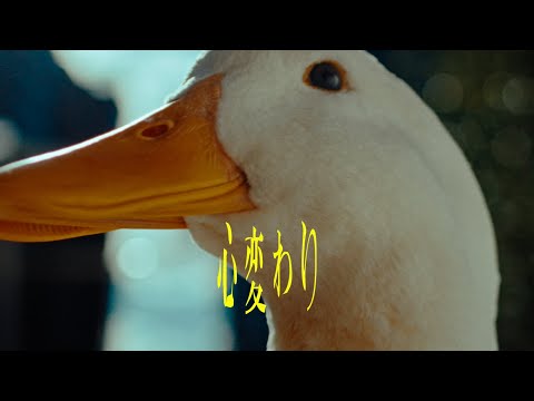 indigo la End - 心変わり【Music Video】