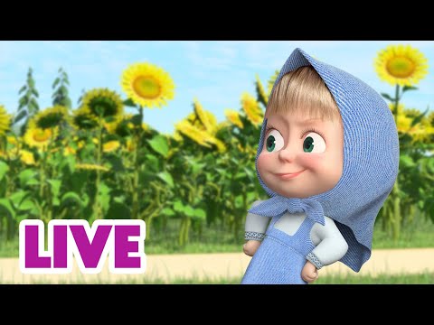 🔴 LIVE 🐻👧 Masha y el Oso 2024 🤗 Encuentros familiares 🎬 Masha and the Bear