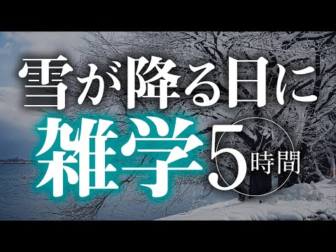 【睡眠導入】雪が降る日に雑学5時間【合成音声】