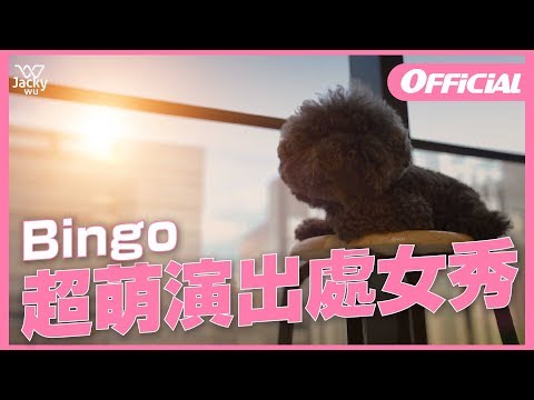 Bingo King - 獅子王預告87分像翻拍