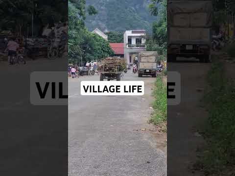 village life#shortvideo #youtubeshorts #shorts #shortsfeed shortsf#youtubeshorts