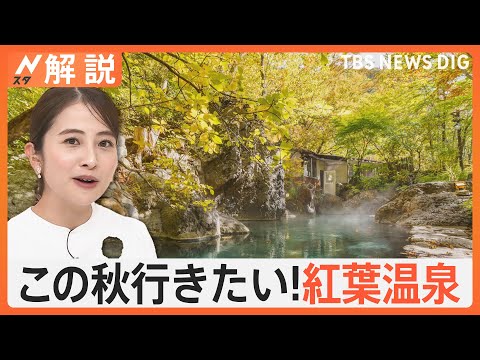 楽しむコツは「ぬる湯」と「透明」　この秋行きたい！温泉ライターおすすめの“紅葉温泉”【Nスタ解説】｜TBS NEWS DIG