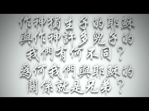 ＃作神獨生子的耶穌，與作神許多兒子的我們有何不同❓為何我們與耶穌的關係就是兄弟❓（希伯來書要理問答 第446問）