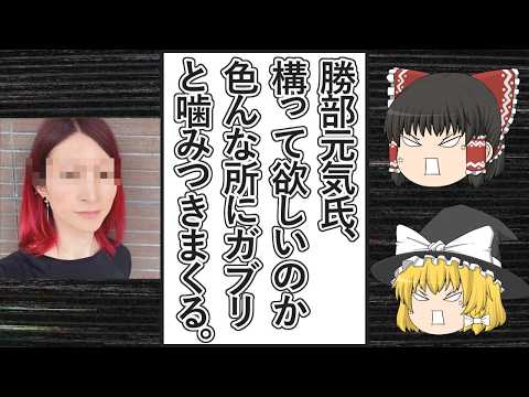 【ゆっくり動画解説】ツイフェミ勝部元気氏、誰にも構ってもらえず寂しいのか手当たり次第噛みつきまくる