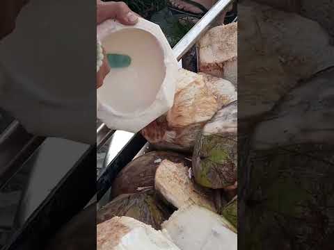 KINAYOD ANG SARIWANG LAMAN NG BUKO pH street food #satisfying #streetfood #youtubeshorts #Gatchie Jr