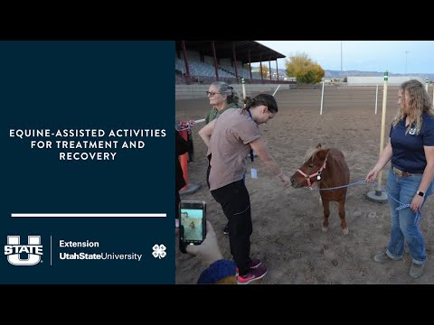 Equine-Assisted Activities for Treatment and Recovery