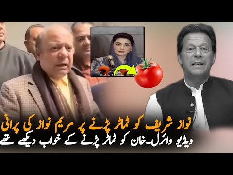 Maryam Nawaz Old Video Viral After Nawaz Sharif Press Conference, Report | Maryam Nawaz News Report