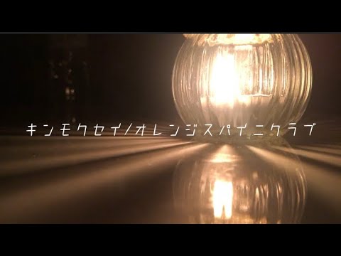 キンモクセイ/オレンジスパイニクラブ