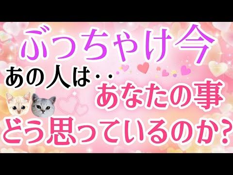 ドキドキ!!🩷🩵ぶっちゃけ!!今あの人は私＆僕の事をどう思ってる？🌈片思い.複雑恋愛&障害のある状況·職場恋愛·遠距離恋愛·距離が出来たなどの恋🌈タロット&オラクル恋愛鑑定