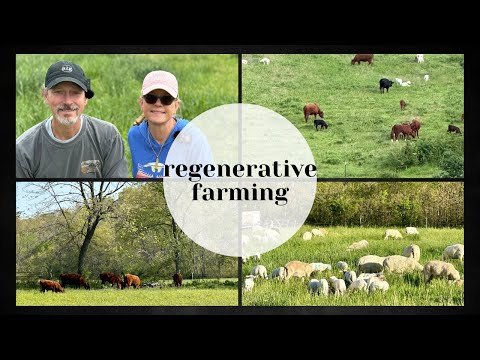 Regenerative Farming and Keto - A Meating with Air2Ground Farms