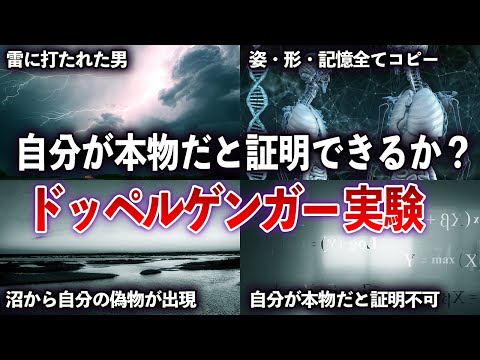 考えれば考えるほど深みにはまる哲学パラドックス「スワンプマンの思考実験」【ゆっくり動画 with ずんだもん】