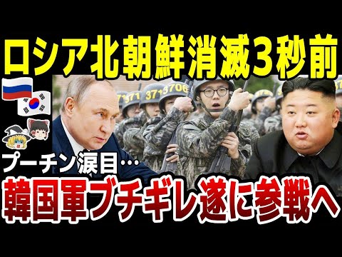 【ゆっくり解説】韓国がついにウクラ戦争に参戦へ！？北朝鮮の本格参戦や道路爆破…我慢の限界で本気のロシア・北朝鮮潰しに。