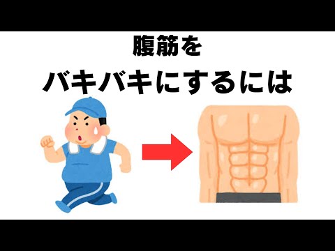 筋トレについての雑学