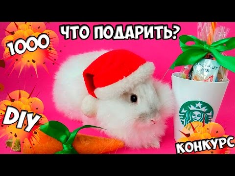 DIY | ПОДАРКИ НА НОВЫЙ ГОД СВОИМИ РУКАМИ | IRA M |