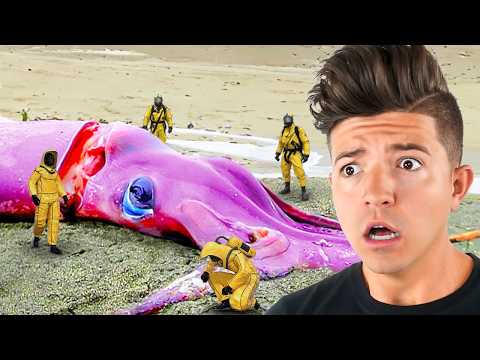 CRAZIEST Things Found in the WORLD