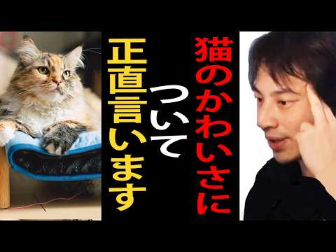 猫ってマジでかわいいですよね。猫について語るひろゆき【ひろゆき切り抜き】