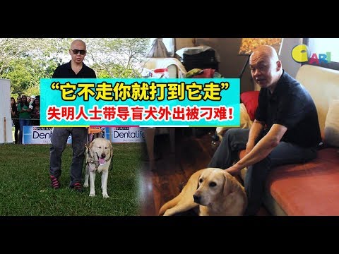 【人物故事】“它不走你就打到它走”  失明人士带导盲犬外出被刁难！