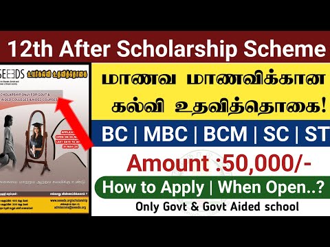 12th after Scholarship 2024 | How to Scholarship 2024 | school After scholarship bc mbc sc st